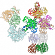 Cryo-Electron microscopy of membrane protein complexes